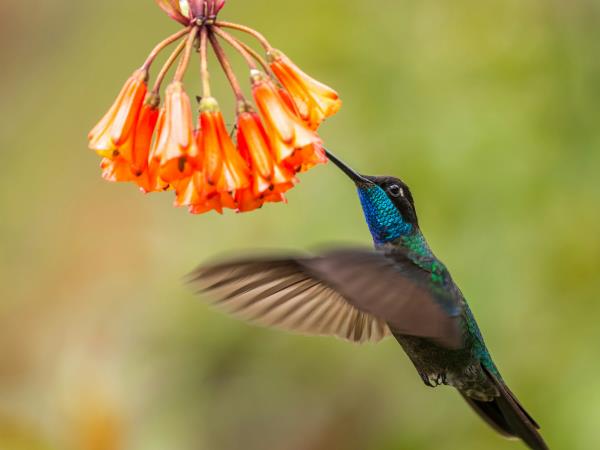 Ecuador, Galapagos and Colombia Adventure