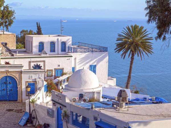 Tunisia history tour, tailor made