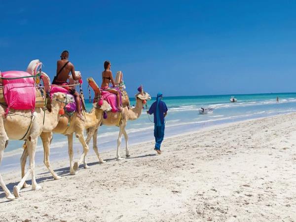 Tunisia history tour, tailor made
