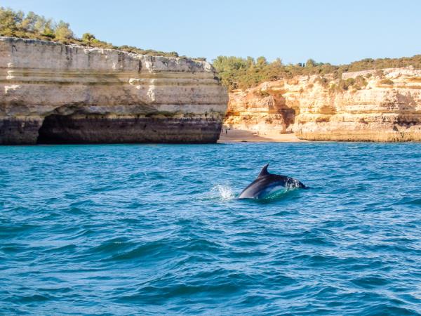 Portugal family vacation, tailor made