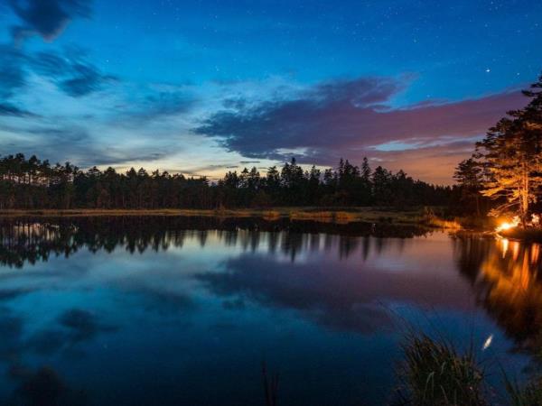 Wolf tracking in Sweden holiday