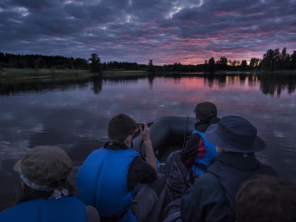 Wolves, moose and beaver holiday, tailor made