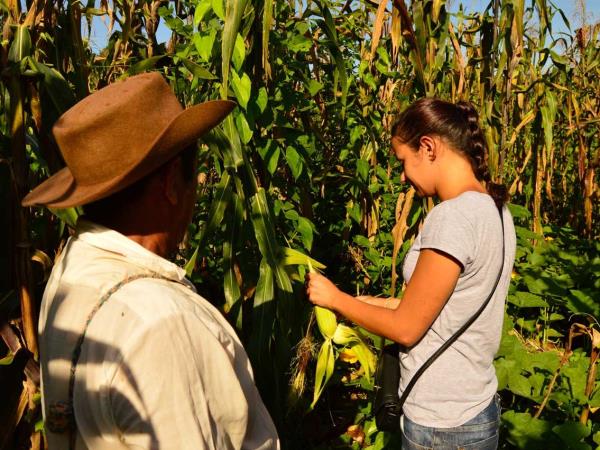 Mexico cultural holiday, tailor made