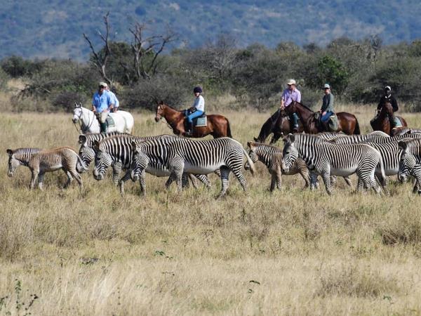Laikipia riding safari, Kenya