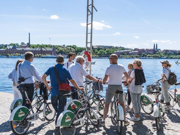 Denmark & Sweden self drive family holiday