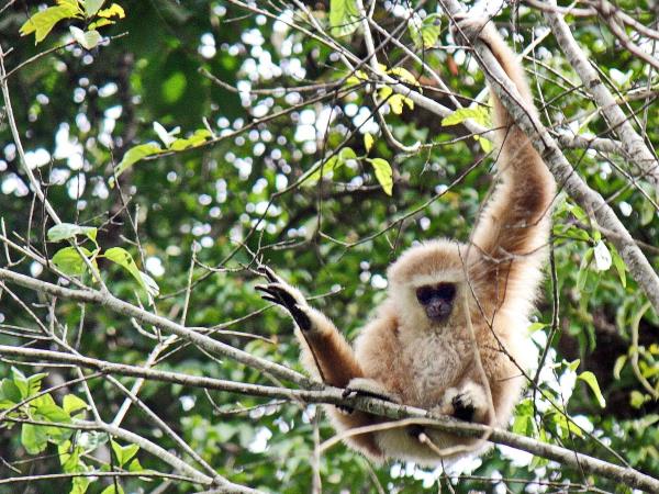 Thailand, Laos and Cambodia holiday