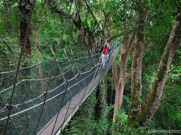 Wildlife adventure in Sabah, Borneo