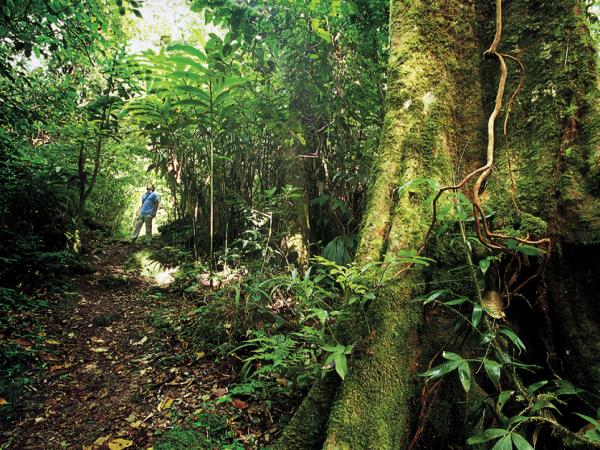 Wildlife adventure in Sabah, Borneo