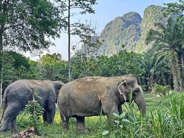 Family holiday to Thailand, jungles and islands
