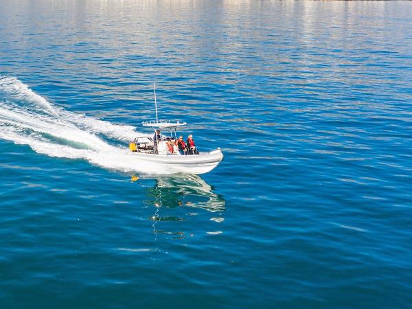 Watersports and whale watching holiday, South Africa