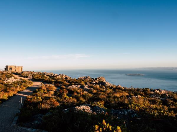 South Africa botanical holiday
