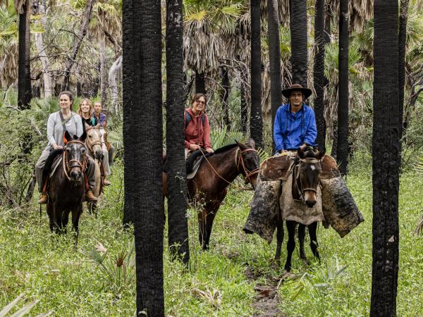 Northern Argentina wildlife holiday