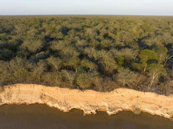 Northern Argentina wildlife holiday