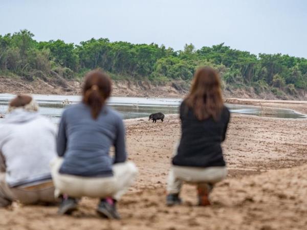 Northern Argentina wildlife holiday