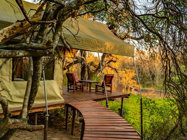 Northern Argentina wildlife holiday