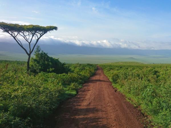 Luxury Tanzania safari & Lake Victoria