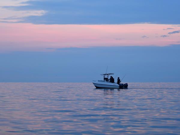 Luxury Tanzania safari & Lake Victoria