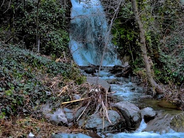 Cyprus food and foraging winter holiday