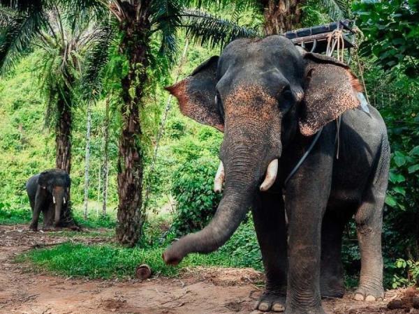 Laos cultural 7 day tour