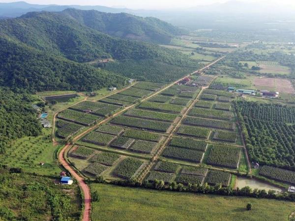Cambodia 13 day tour, soft adventure