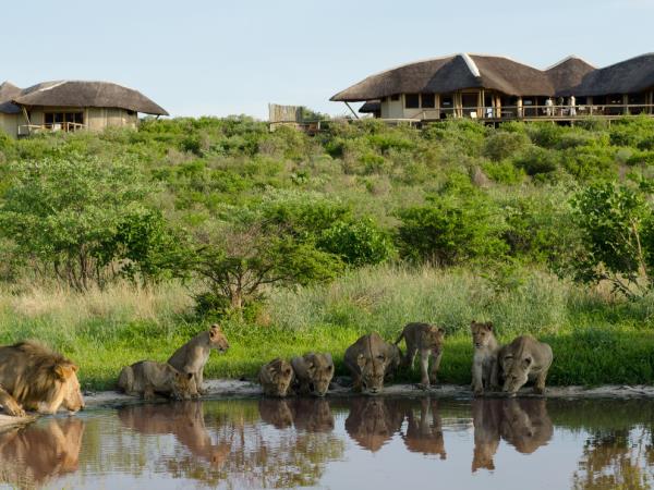 Kalahari game reserve and Okavango safari, Botswana