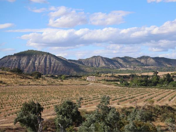 Rural yoga holiday in Spain, nr Madrid