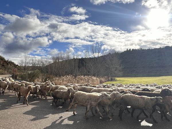 Rural yoga holiday in Spain, nr Madrid