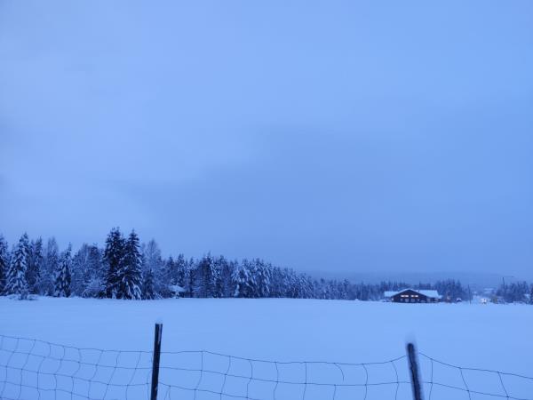 Christmas in Finland, log cabin stay
