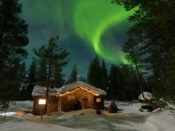 Northern Lights and wildlife holiday in Swedish Lapland