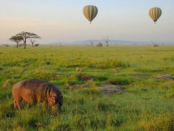 Tanzania 6 day safari