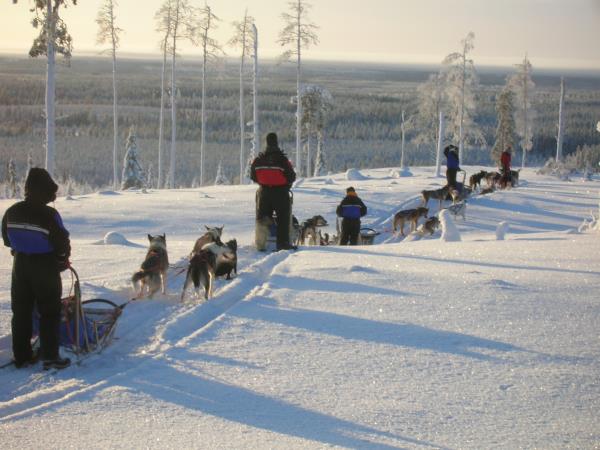 Lapland holiday, husky safari & log cottage