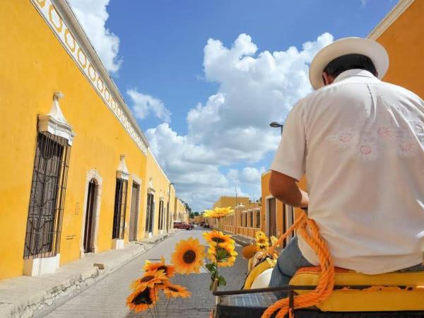Mexico 2 week holiday, tailor made