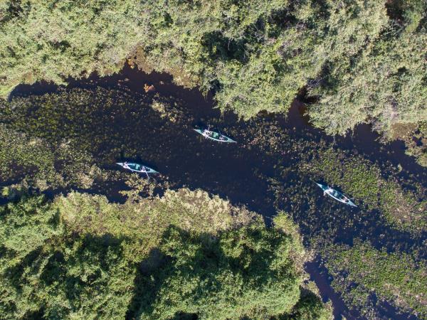 Brazil wildlife and walking holiday