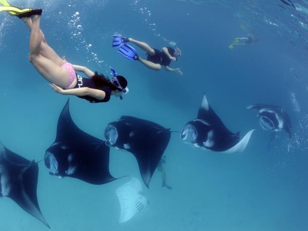 Maldives snorkelling cruise