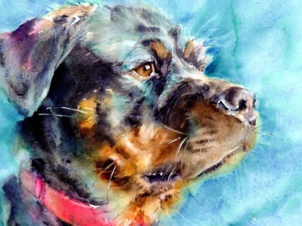 Watercolour painting holiday in Italy with Lorraine Simonds