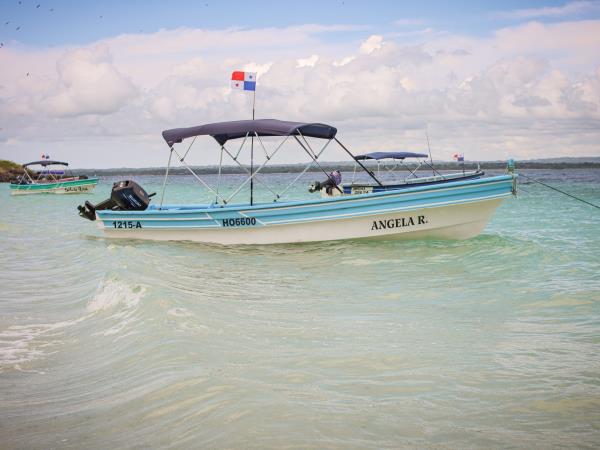 Panama tour, beaches and wildlife