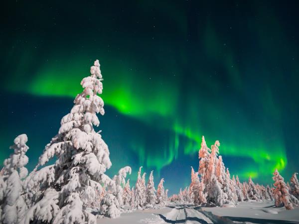 New year Northern Lights holiday, Sweden