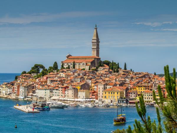 Istria cycling and food holiday, Croatia