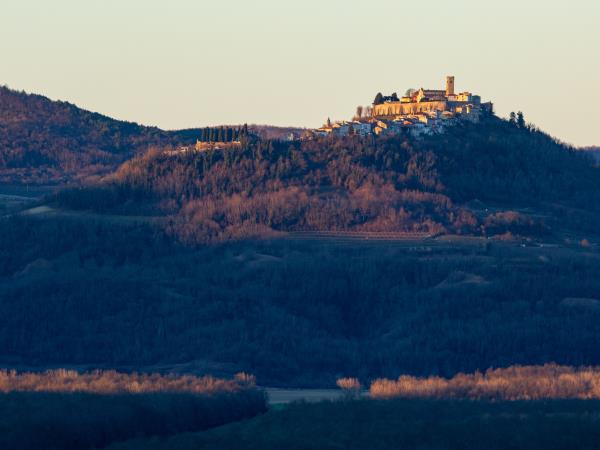 Istria cycling and food holiday, Croatia