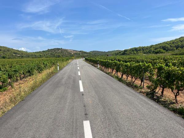 Istria cycling and food holiday, Croatia