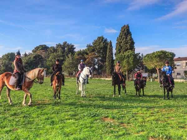 Istria cycling and food holiday, Croatia