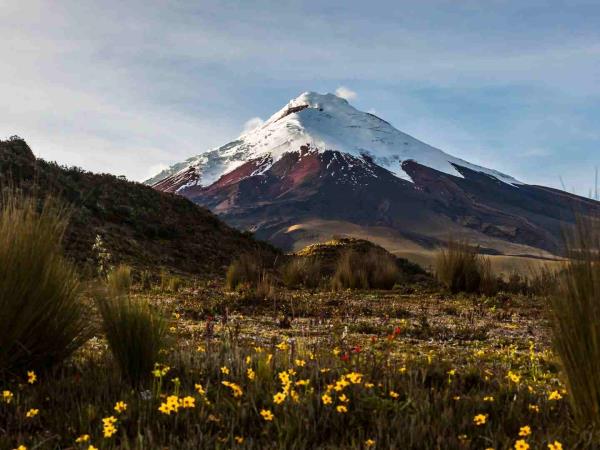 Ecuador holiday, culture, nature, history