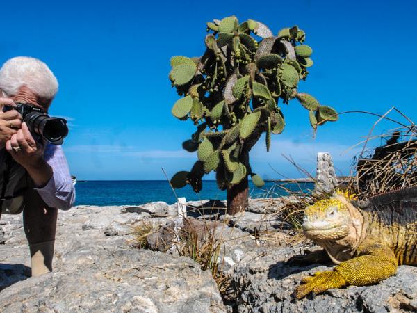 Galapagos wildlife holiday, land based