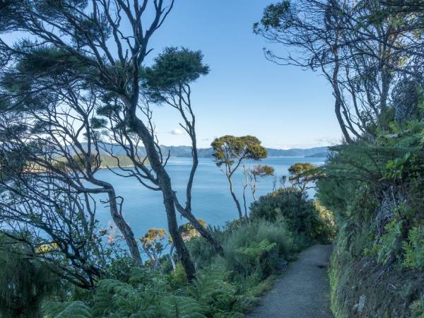 Queen Charlotte Track walking holiday