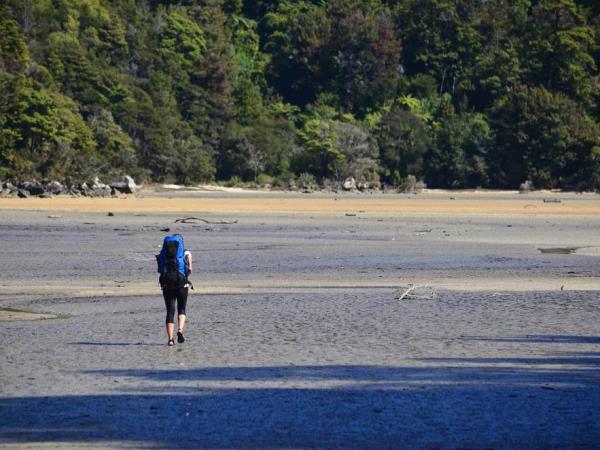 Abel Tasman walking holiday in New Zealand