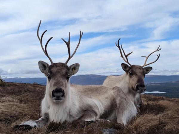 Cairngorms holiday for visually impaired travellers