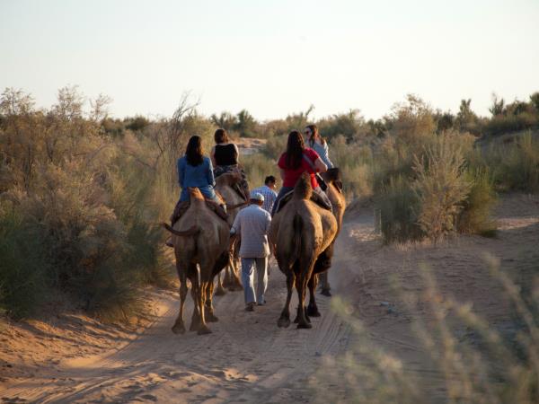 Uzbekistan mountains & desert holiday