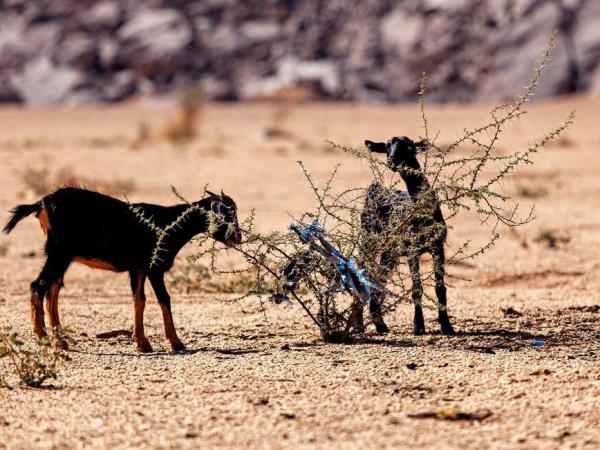 Algeria Sahara Desert small group holiday