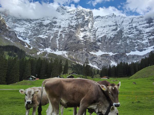 Switzerland tailor made holiday