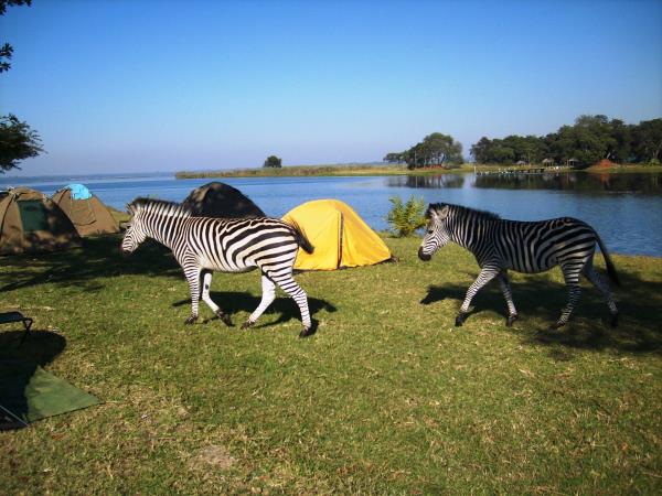 Zimbabwe to South Africa overland tour, 34 days Responsible Travel